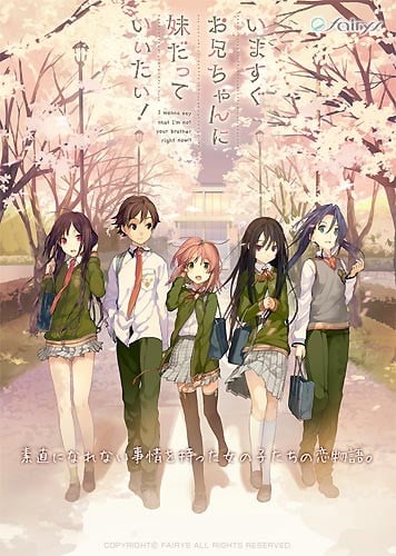 Ima Sugu Oniichan ni Imōto da tte Iitai! anime cover