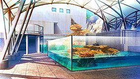 amakano kinosaki marine world