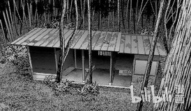 dark gathering hatsuka daimyojin shrine office