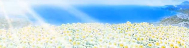 suisenzuki no yokka nada kuroiwa narcissus village