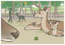 my sister momoko nara park