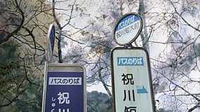 the disappearance of haruhi suzumiya bus stop