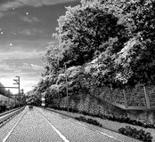 dark gathering kokudo 1