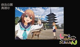 my deer friend nokotan kofukuji temple