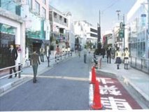 chaos head cat street