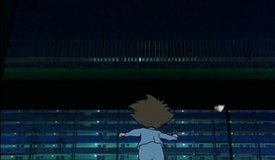 digimon adventure taiichi hikari location