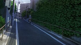 fujimi slope