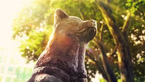 girls band cry hachiko