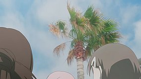 hayama port palm tree