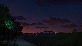 inada tamagawa park night