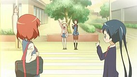 kinmoza sakura somei information plaza