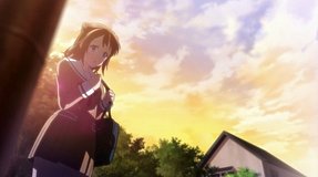 lined sakura trees along kanda river landmark