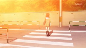 lined sakura trees along kanda river tourist attraction