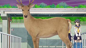 my deer friend nokotan nakano kubo bridge