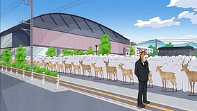 my deer friend nokotan nanpei gymnasium
