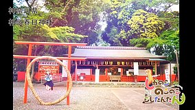 my deer friend nokotan soshu kasuga shrine honden