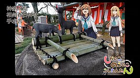 my deer friend nokotan soshu kasuga shrine water basin