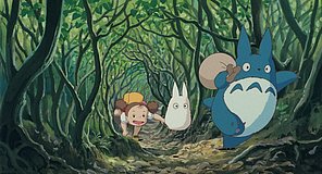 my neighbor totoro shirahata mound