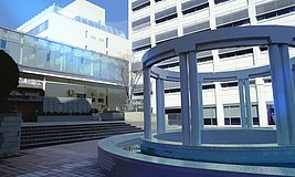 noesis02 tokyo women medical university hospital