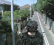 picnic gakugeidaigaku wall