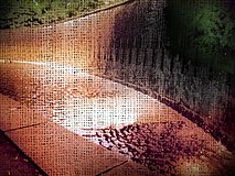 shinjuku central park