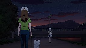 tama water bridge night