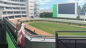 umamusume cinderella gray nakayama racecourse paddock