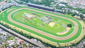 umamusume cinderella gray tokyo racecourse